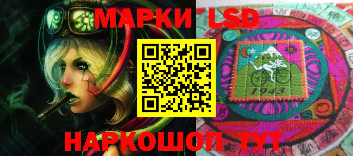 МЕФ Домодедово